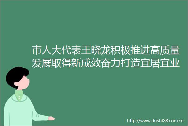 市人大代表王晓龙积极推进高质量发展取得新成效奋力打造宜居宜业宜游幸福龙华