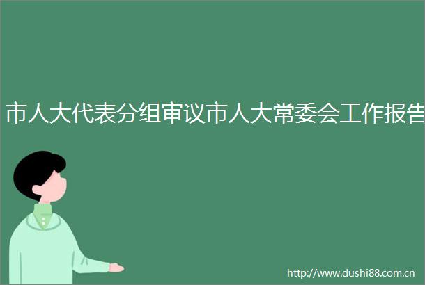 市人大代表分组审议市人大常委会工作报告