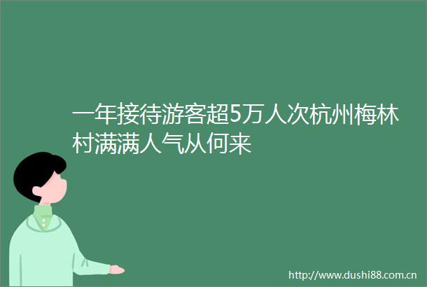 一年接待游客超5万人次杭州梅林村满满人气从何来