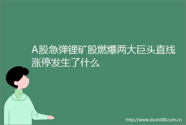 A股急弹锂矿股燃爆两大巨头直线涨停发生了什么
