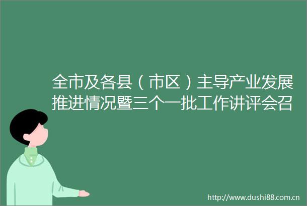 全市及各县（市区）主导产业发展推进情况暨三个一批工作讲评会召开