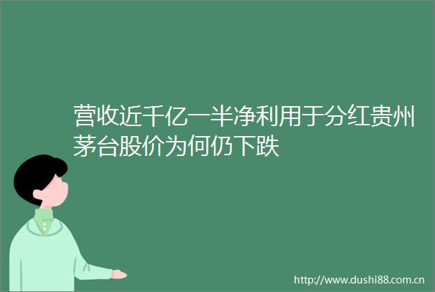 营收近千亿一半净利用于分红贵州茅台股价为何仍下跌