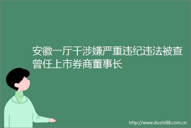 安徽一厅干严重被查曾任上市券商董事长