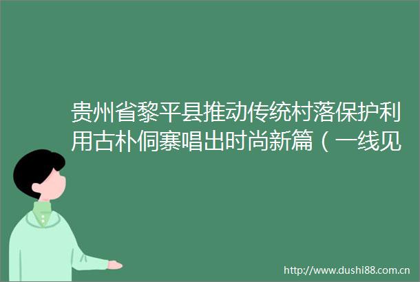 贵州省黎平县推动传统村落保护利用古朴侗寨唱出时尚新篇（一线见闻）