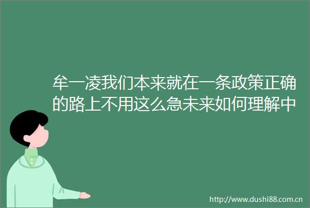 牟一凌我们本来就在一条政策正确的路上不用这么急未来如何理解机会参考100年前的美国