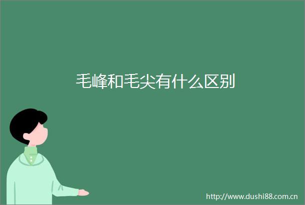 毛峰和毛尖有什么区别