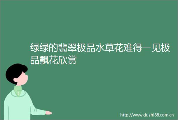 绿绿的翡翠极品水草花难得一见极品飘花欣赏