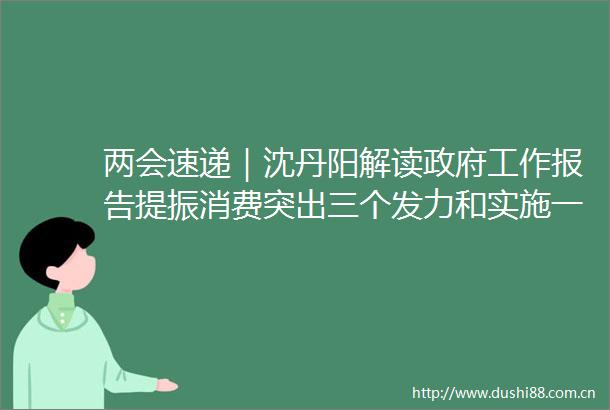 两会速递｜沈丹阳解读工作报告提振消费突出三个发力和实施一项行动