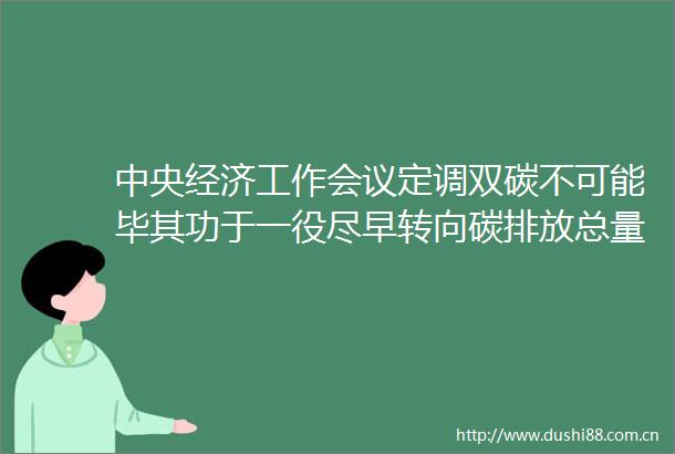 中央经济工作会议定调双碳不可能毕其功于一役尽早转向碳排放总量和强度双控