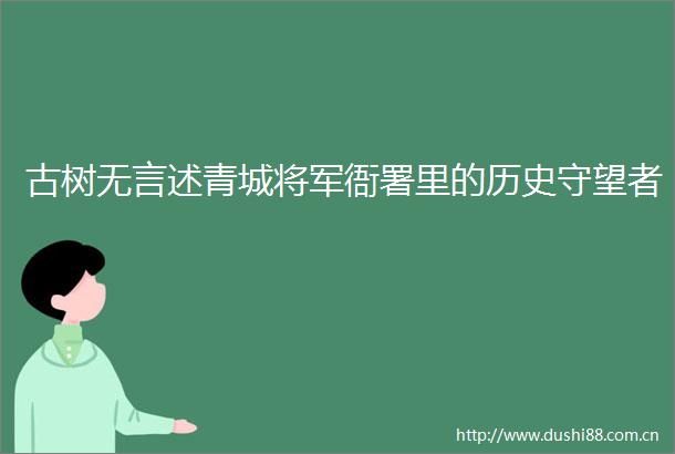古树无言述青城将军衙署里的历史守望者