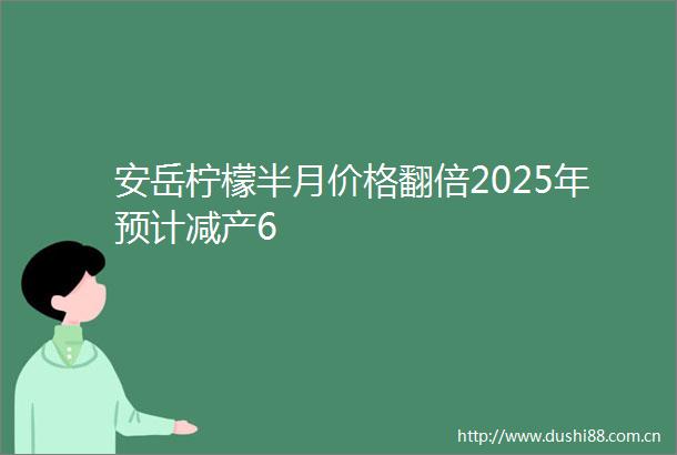 安岳柠檬半月价格翻倍2025年预计减产6