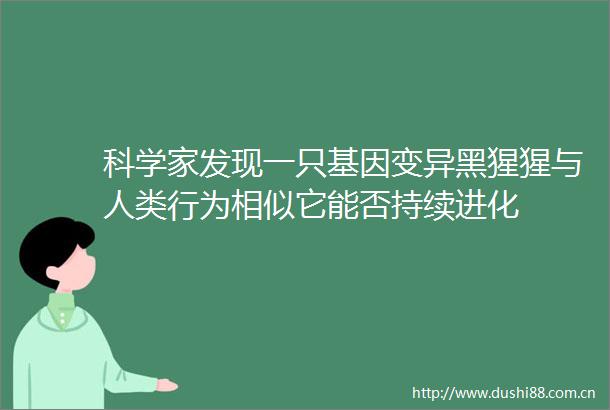 科学家发现一只基因变异黑猩猩与人类行为相似它能否持续进化