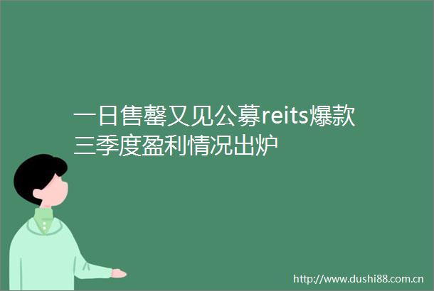 一日售罄又见公募reits爆款三季度盈利情况出炉