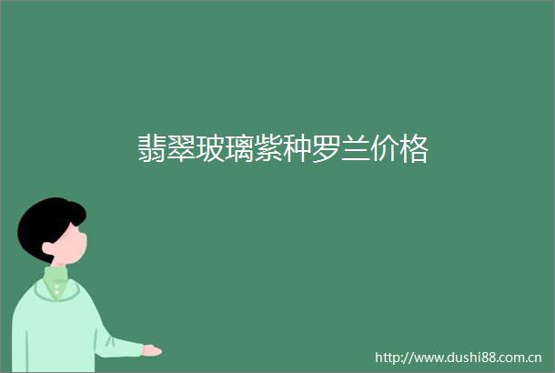 翡翠玻璃紫种罗兰价格