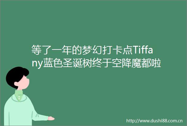 等了一年的梦幻打卡点Tiffany蓝色圣诞树终于空降魔都啦
