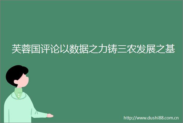 芙蓉国评论以数据之力铸三农发展之基