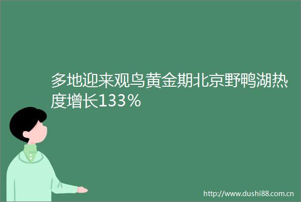 多地迎来观鸟黄金期北京野鸭湖热度增长133％