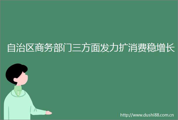 自治区商务部门三方面发力扩消费稳增长