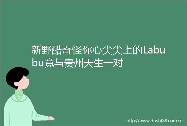 新野酷奇怪你心尖尖上的Labubu竟与贵州天生一对