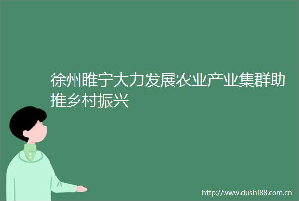 徐州睢宁大力发展农业产业集群助推乡村振兴
