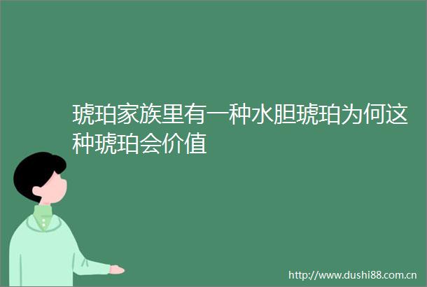 琥珀家族里有一种水胆琥珀为何这种琥珀会价值