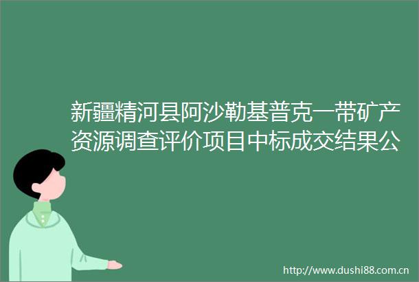 新疆精河县阿沙勒基普克一带矿产资源调查评价项目中标成交结果公告