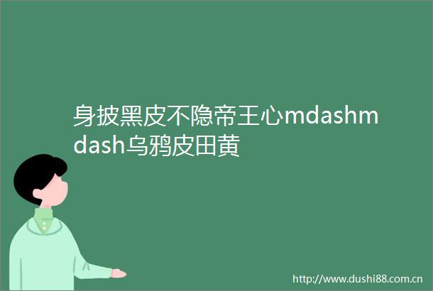 身披黑皮不隐帝王心mdashmdash乌鸦皮田黄