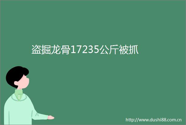 盗掘龙骨17235公斤被抓