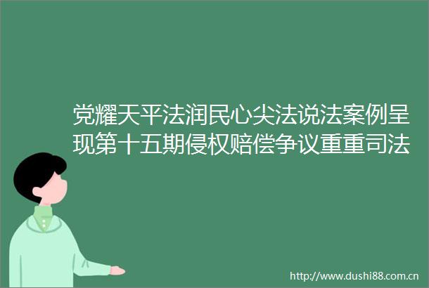 党耀天平法润民心尖法说法案例呈现第十五期赔偿争议重重司法调解破局共赢