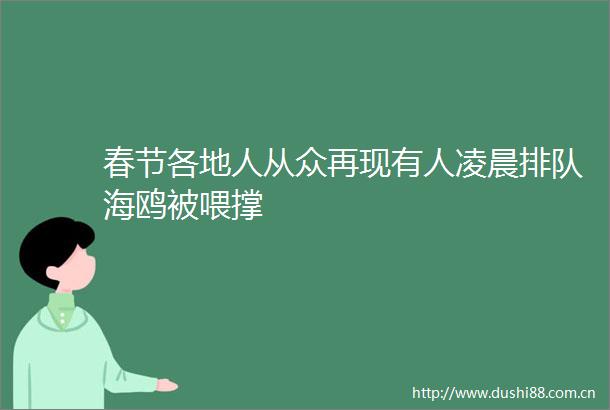 春节各地人从众再现有人凌晨排队海鸥被喂撑