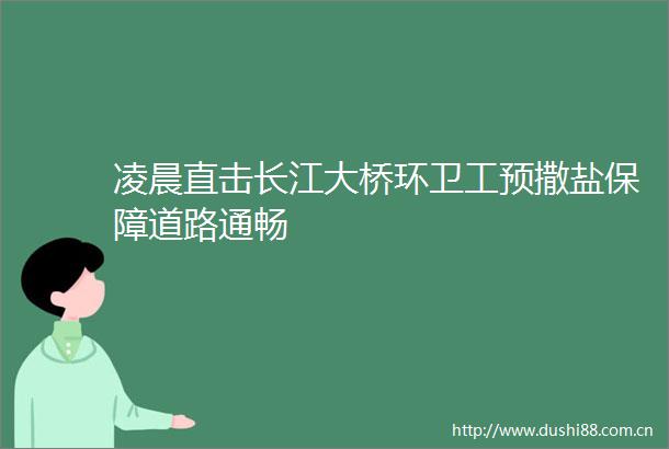 凌晨直击长江大桥环卫工预撒盐保障道路通畅