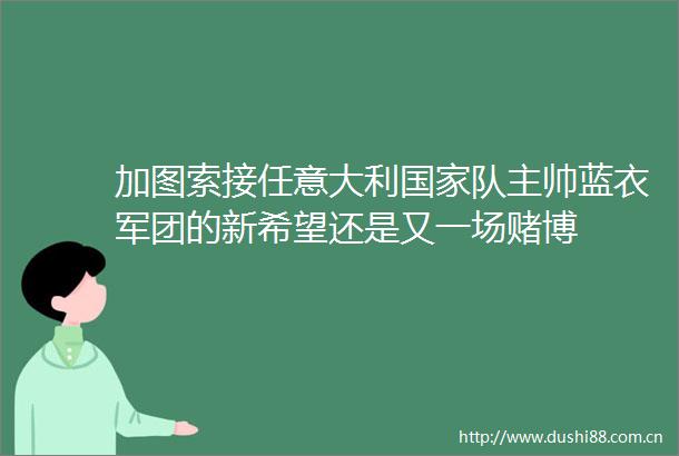 加图索接任意大利队主帅蓝衣军团的新希望还是又一场赌博