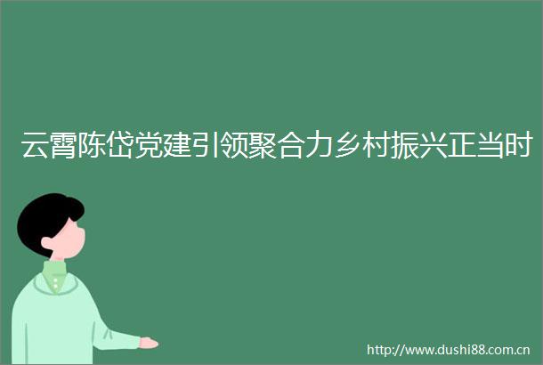 云霄陈岱党建引领聚合力乡村振兴正当时