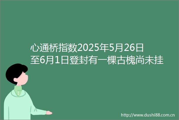 心通桥指数2025年5月26日至6月1日登封有一棵古槐尚未挂牌保护有关部门已前往调查