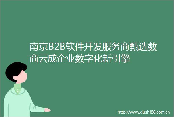 南京B2B软件开发服务商甄选数商云成企业数字化新引擎