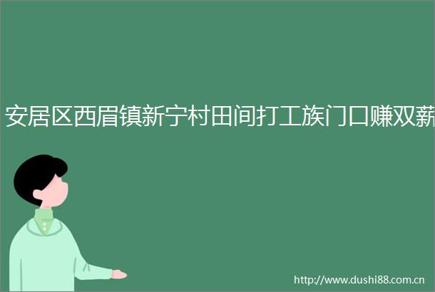 安居区西眉镇新宁村田间打工族门口赚双薪