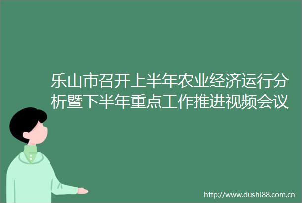 乐山市召开上半年农业经济运行分析暨下半年重点工作推进视频会议