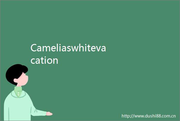 Cameliaswhitevacation