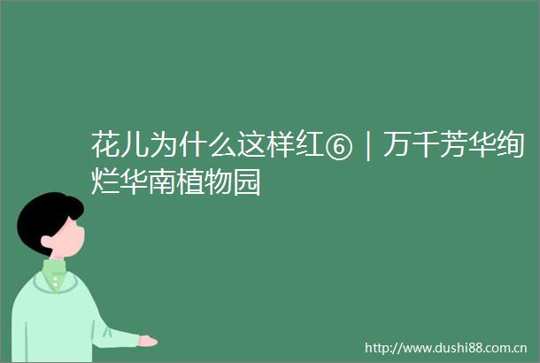 花儿为什么这样红⑥｜万千芳华绚烂华南植物园