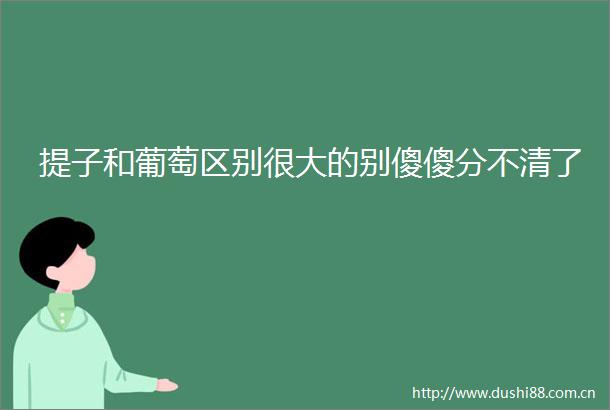 提子和葡萄区别很大的别傻傻分不清了