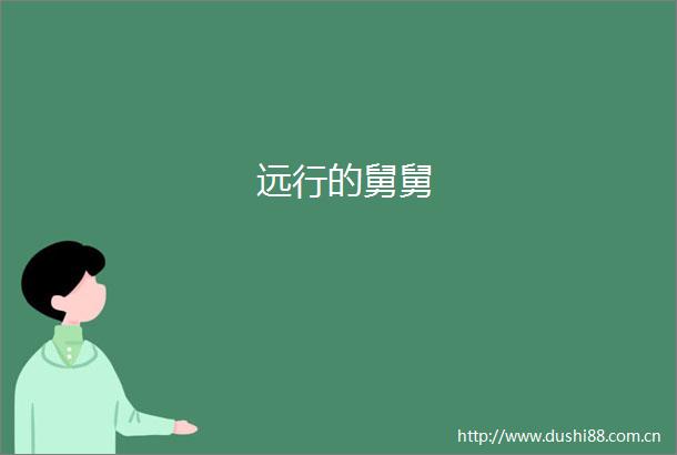 远行的舅舅