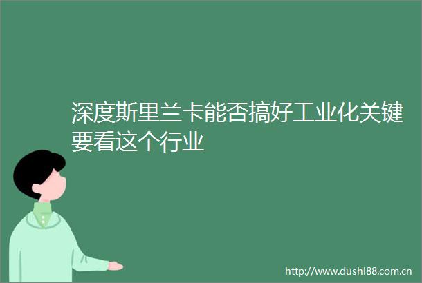 深度斯里兰卡能否搞好工业化关键要看这个行业