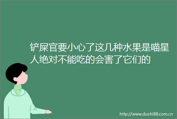 铲屎官要小心了这几种水果是喵星人绝对不能吃的会害了它们的