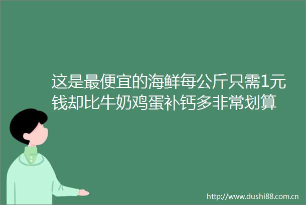 这是最便宜的海鲜每公斤只需1元钱却比牛奶鸡蛋补钙多非常划算