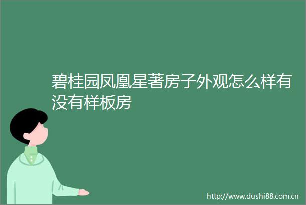 碧桂园凤凰星著房子外观怎么样有没有样板房