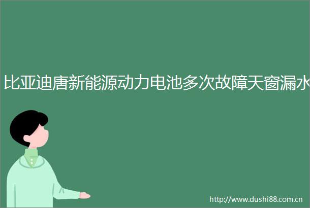 比亚迪唐新能源动力电池多次故障天窗漏水