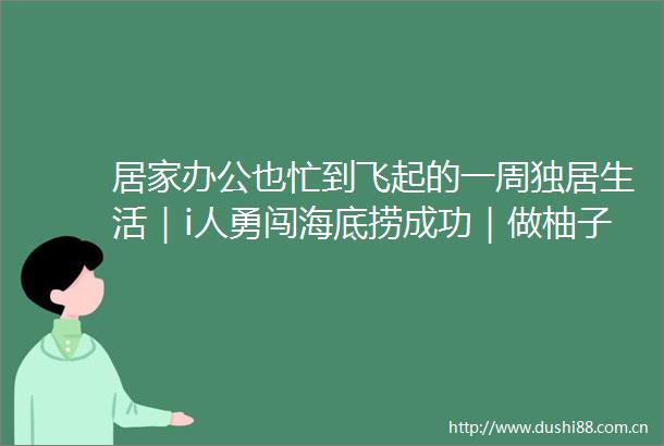 居家办公也忙到飞起的一周独居生活｜i人勇闯海底捞成功｜做柚子凝乳和虎皮卷成功实现甜品自由｜圆圆的vlog