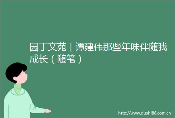 园丁文苑｜谭建伟那些年味伴随我成长（随笔）