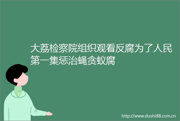 大荔检察院组织观看为了第一集惩治蝇贪蚁腐