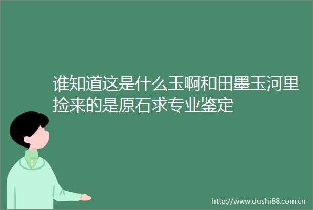 谁知道这是什么玉啊和田墨玉河里捡来的是原石求专业鉴定